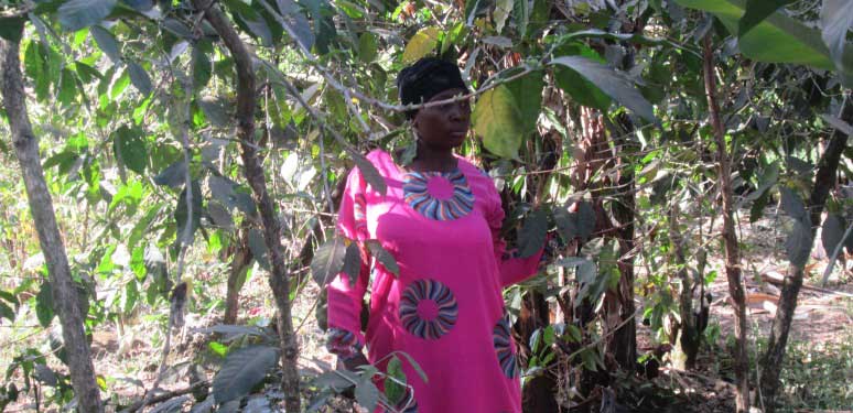 women farmers along with the coffee value chain