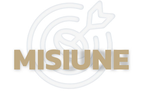 Misiune Misiune