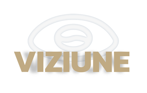 Viziune Viziune